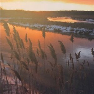 Meet your Posher, Shelcat